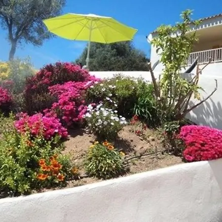 U Melu Grand T3 Jaune A L'etage *