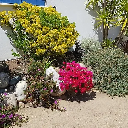 U Melu Grand T3 Jaune A L'etage 提乌克西亚