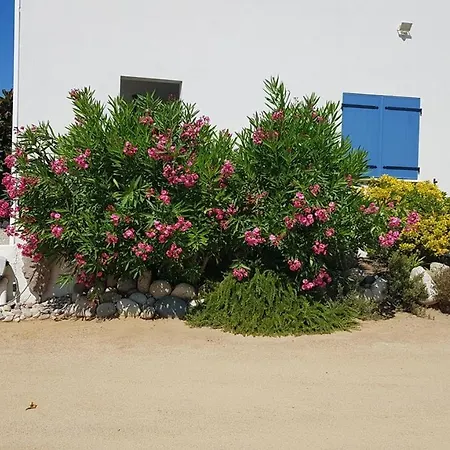 公寓 U Melu Grand T3 Jaune A L'etage 提乌克西亚