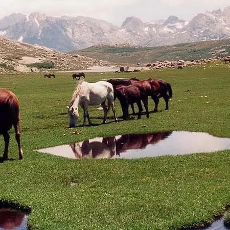 U Melu Grand T3 Jaune A L'etage דירה *