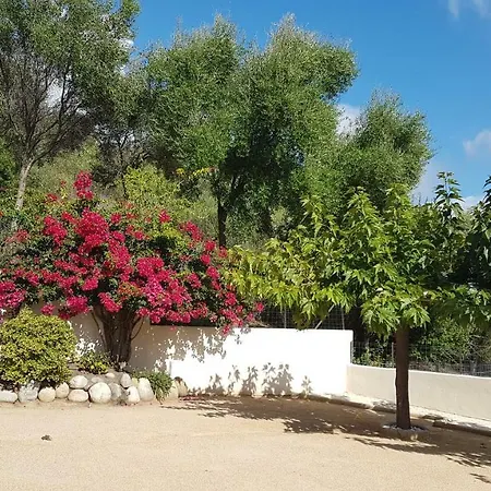 Διαμέρισμα U Melu Grand T3 Jaune A L'etage *