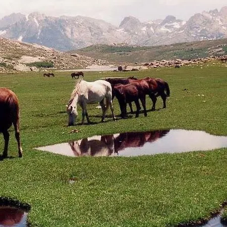 U Melu Grand T3 Jaune A L'etage Διαμέρισμα Tiuccia