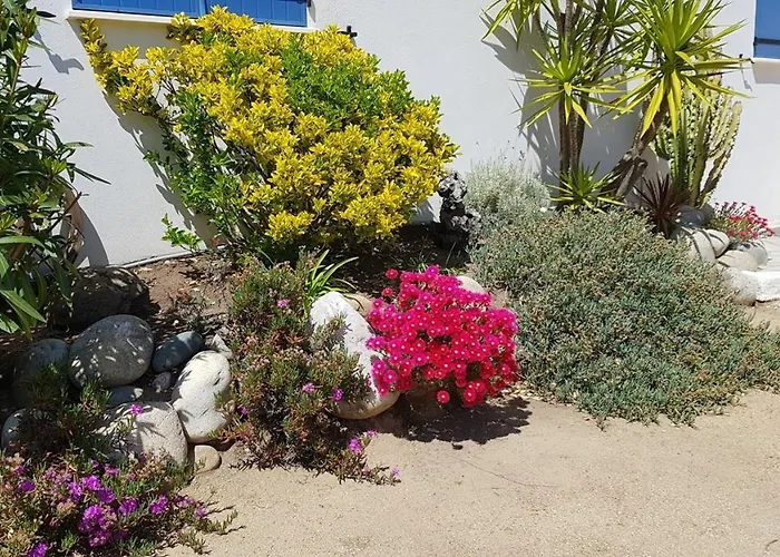 U Melu Grand T3 Jaune A L'etage Tiuccia