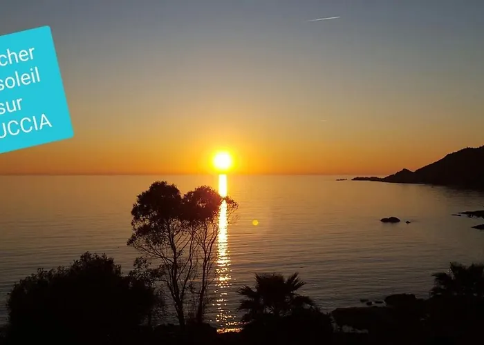 U Melu Grand T3 Jaune A L'etage *