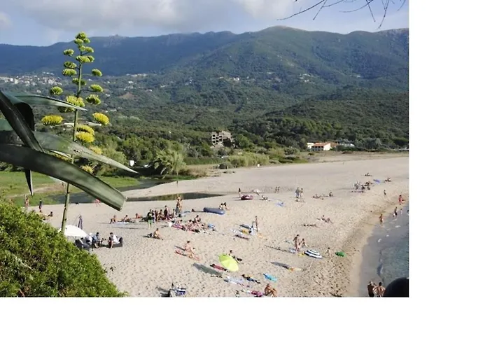 Appartement U Melu Grand T3 Jaune à L'étage Tiuccia
