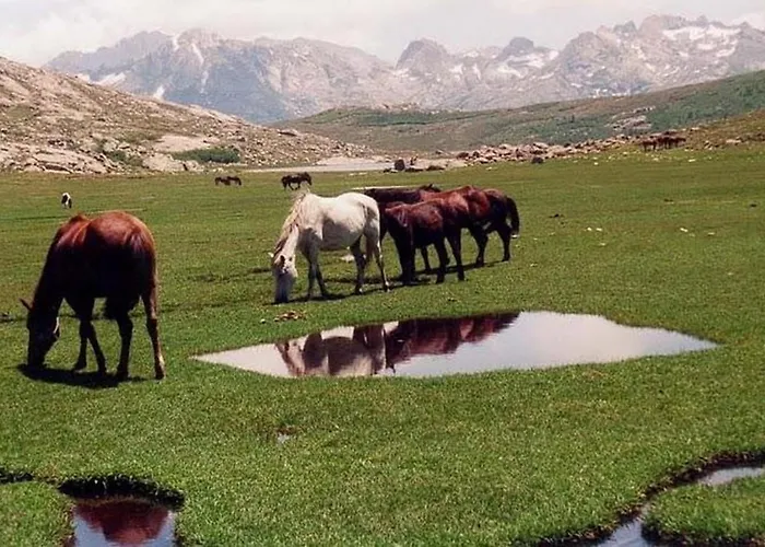 U Melu Grand T3 Jaune A L'etage Apartman *